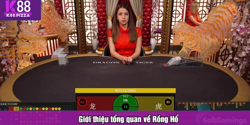 Giới thiệu tổng quan về Rồng Hổ