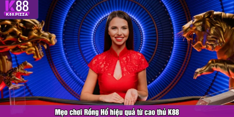 Mẹo chơi Rồng Hổ hiệu quả từ cao thủ K88